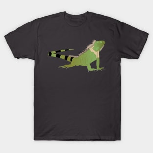 Reptile design, green iguana, wildlife gifts T-Shirt